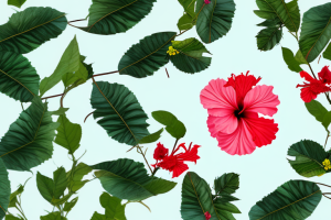 A hibiscus tree with yellowing leaves and vibrant red flowers against a simple