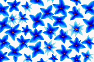 A vibrant blue mandevilla flower in full bloom