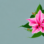 A bright pink mandevilla flower vine growing along a white picket fence