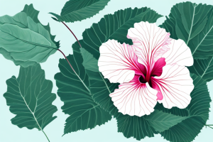 A hibiscus flower with aphids crawling on its leaves